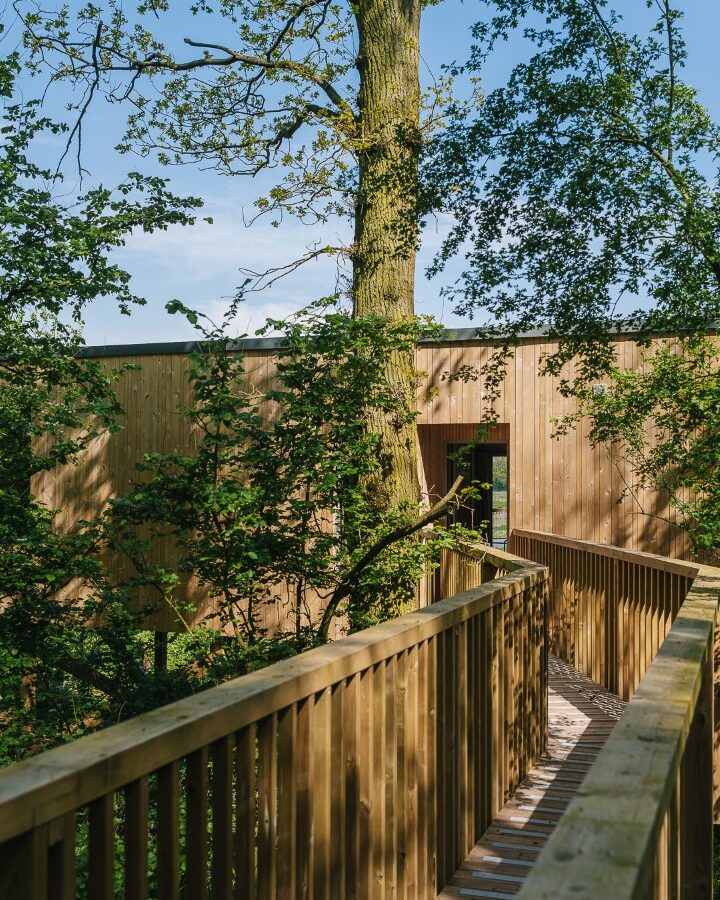 A wooden walkway leads to a modern, elevated treehouse structure built around a large tree. The treehouse, designed by Rewild Things and featuring vertical wooden slats, is nestled amidst lush green foliage and branches, blending seamlessly with the natural surroundings.