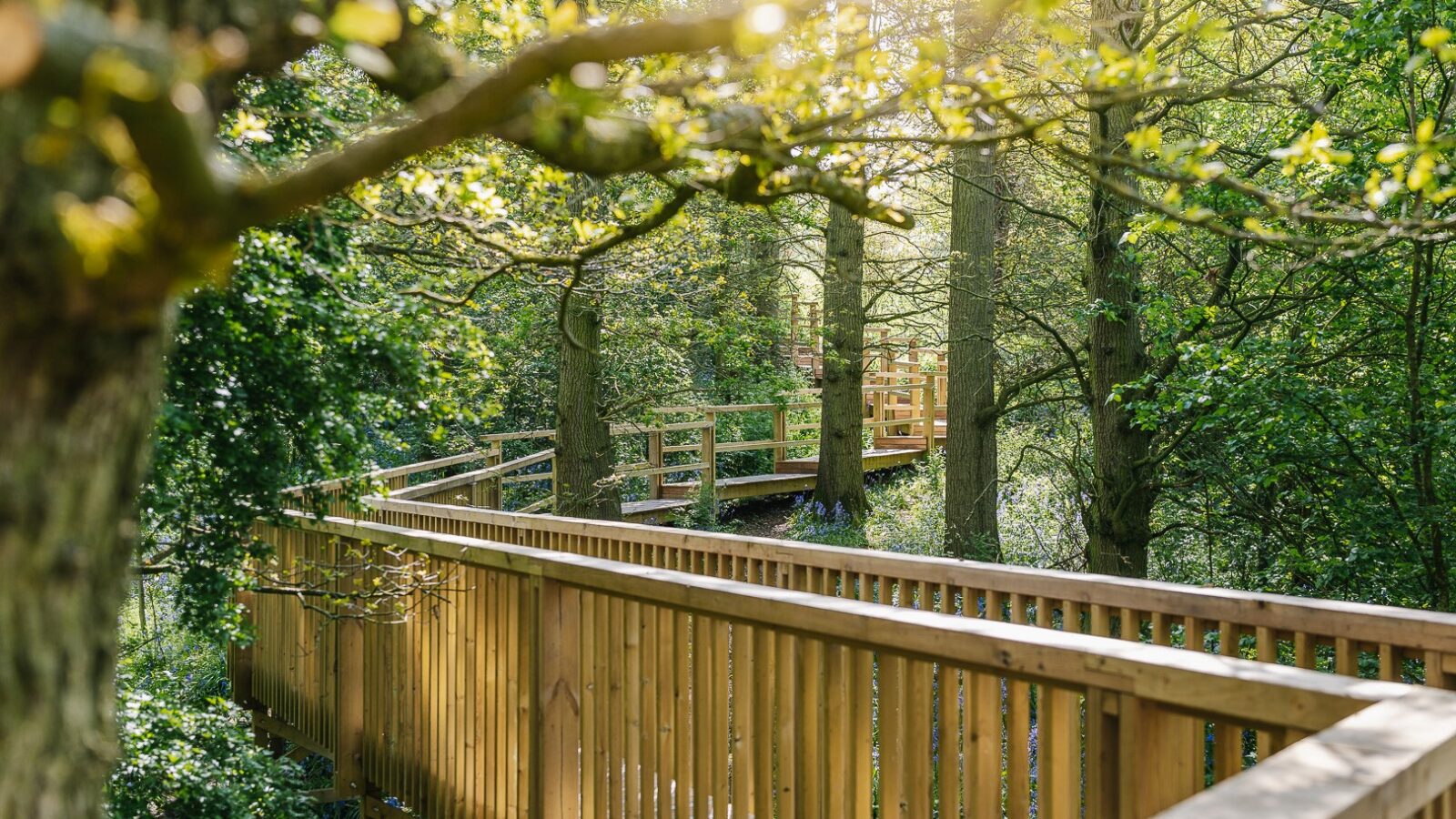 An elevated wooden pathway winds through a lush, green forest. Sunlight filters through the trees, casting dappled light on the path and foliage. Treehouses peek from above, adding to the scene's serene and inviting atmosphere, with vibrant leaves and sturdy wooden railings guiding the way.