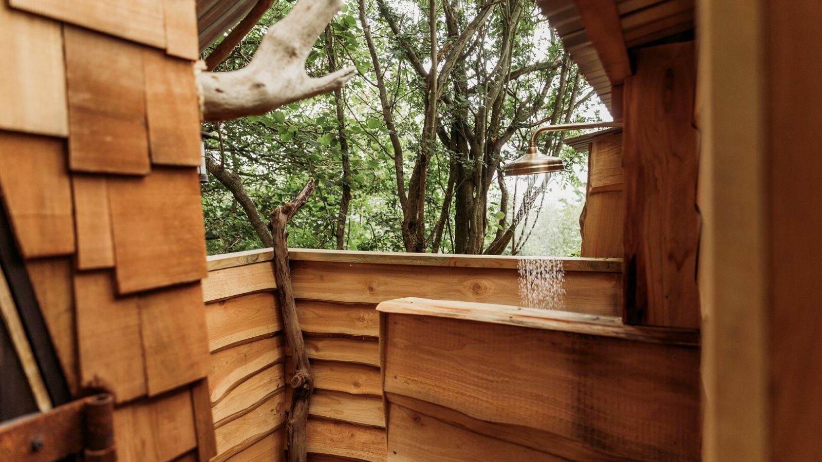 An outdoor shower at Pennard Hill with a rustic design features wooden paneling, a large tree branch as a decorative element, and a metal showerhead. Surrounded by lush greenery and Tree Tents, the setting evokes a natural and serene ambiance.