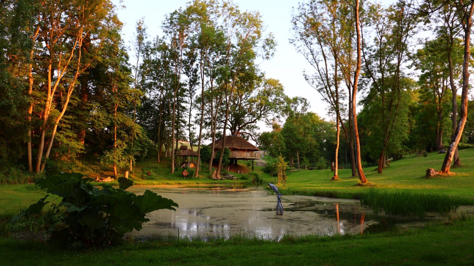 A tranquil scene of a small pond surrounded by lush, vibrant green grass and tall trees in Treeopia, bathed in the warm light of the setting sun. A rustic wooden cabin with a thatched roof sits nestled among the trees in the background.