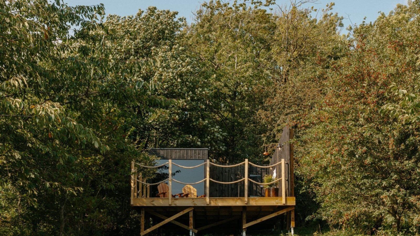 A small wooden cabin on stilts, reminiscent of Forcett Grange, is nestled among dense green trees. The cabin boasts a railing around its front porch and a glass door reflecting the surrounding forest. The scene is bright, suggesting a clear day.