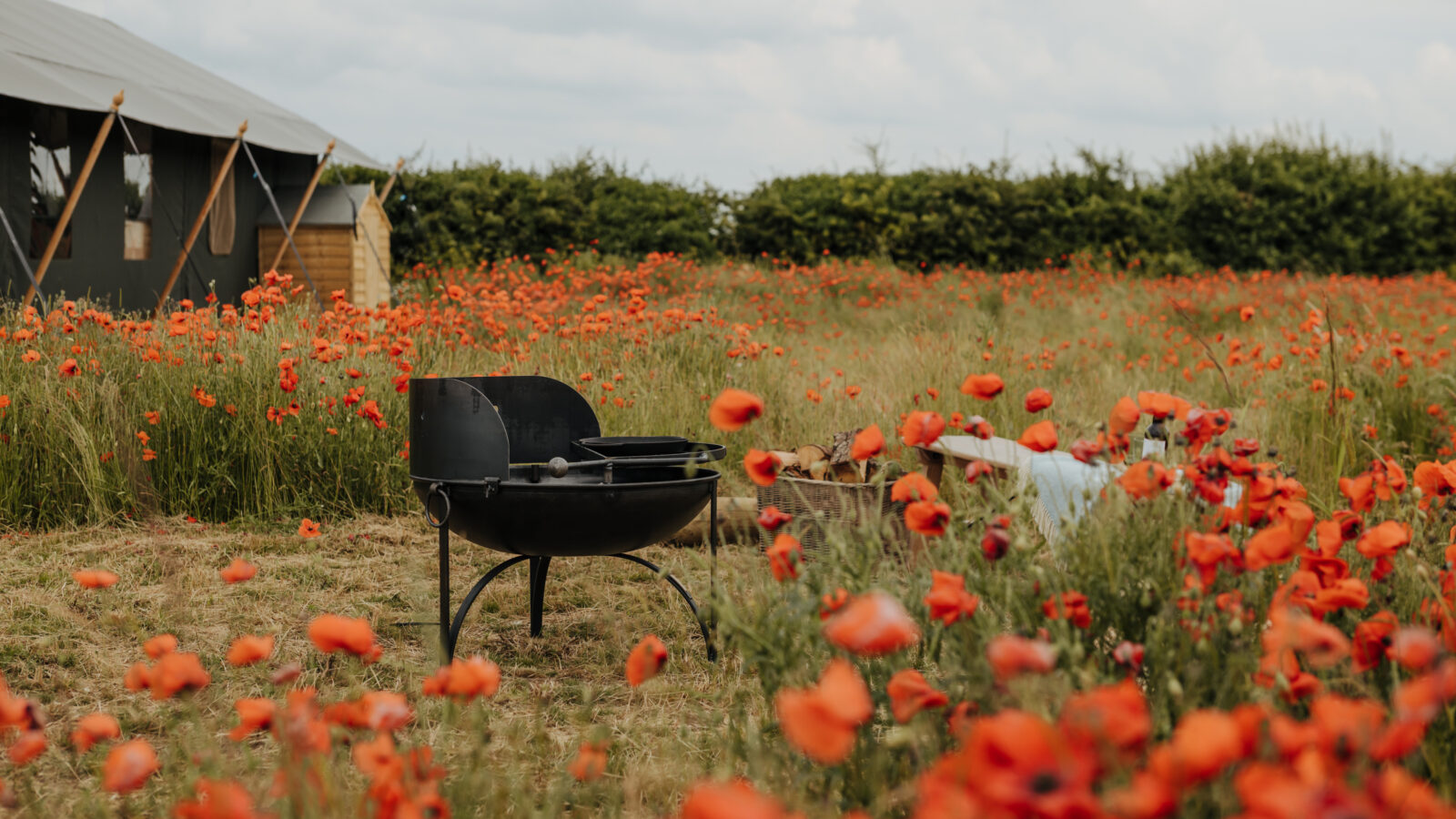 A black outdoor fire pit sits in a field of blooming red poppies on a charming farm, with a large tent and a wooden shed in the background. The cloudy sky adds to the serene and picturesque scene near Westgate.