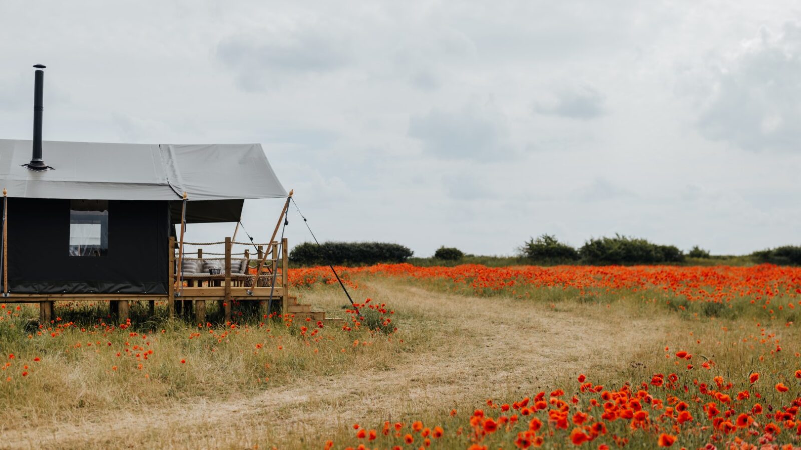 A cabin with a grey roof and small porch stands in a grassy field filled with red poppies under a cloudy sky. A narrow dirt path winds through the field leading to the cabin at Westgate Farm. Bushes and trees are visible in the distant background.