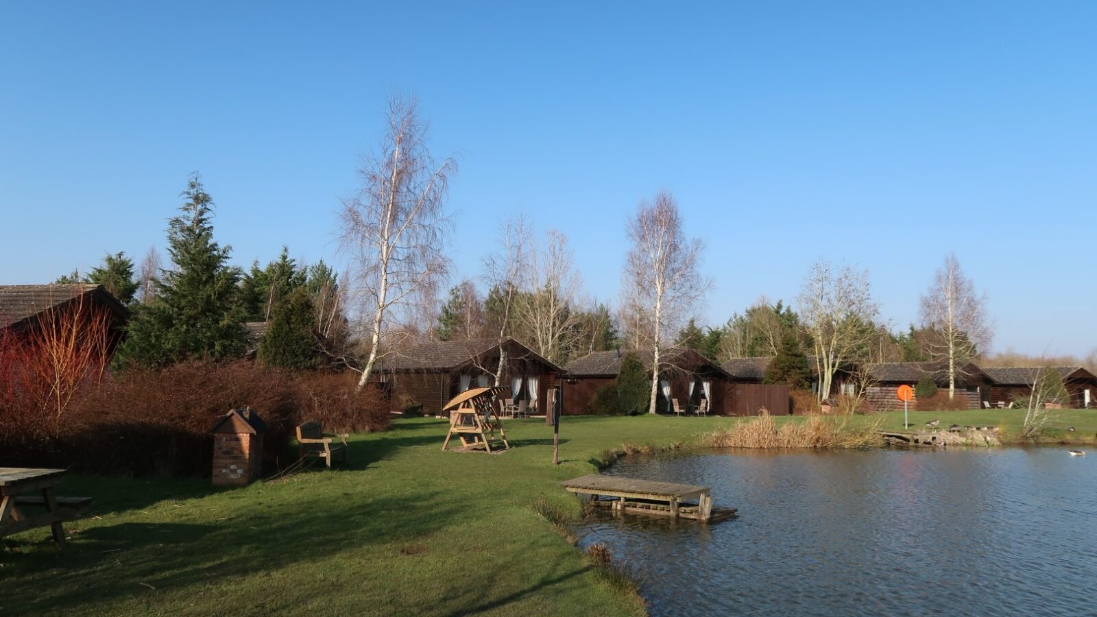 A serene lakeside scene at Country Park features small wooden cabins and sparse trees under a clear blue sky. A wooden bench swing and a picnic table sit on the grassy shore near the water, with a dock extending into the lake, surrounded by Yellowtop wildflowers and ducks.