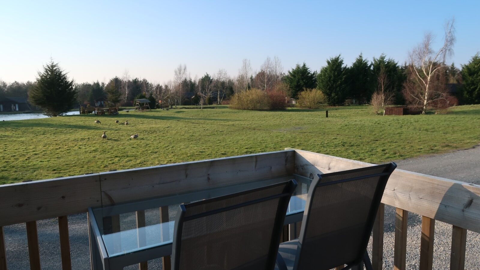 A serene outdoor scene viewed from a patio with two chairs and a glass table. The patio overlooks a grassy field in the Yellowtop Country Park with several geese, surrounded by trees under a clear blue sky. A lake can be seen in the distance on the left side of the image.