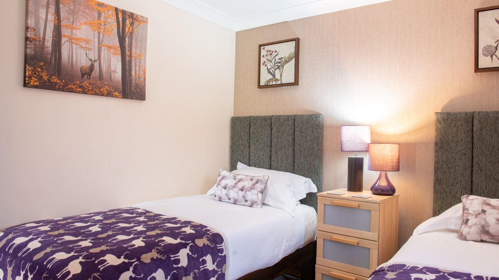 A cozy bedroom with two single beds, each dressed with white linens and purple blankets featuring white deer. A bedside table with two lamps is between the beds. The walls are adorned with nature-themed artwork, including a framed picture of deer in a Yellowtop Country Park forest.