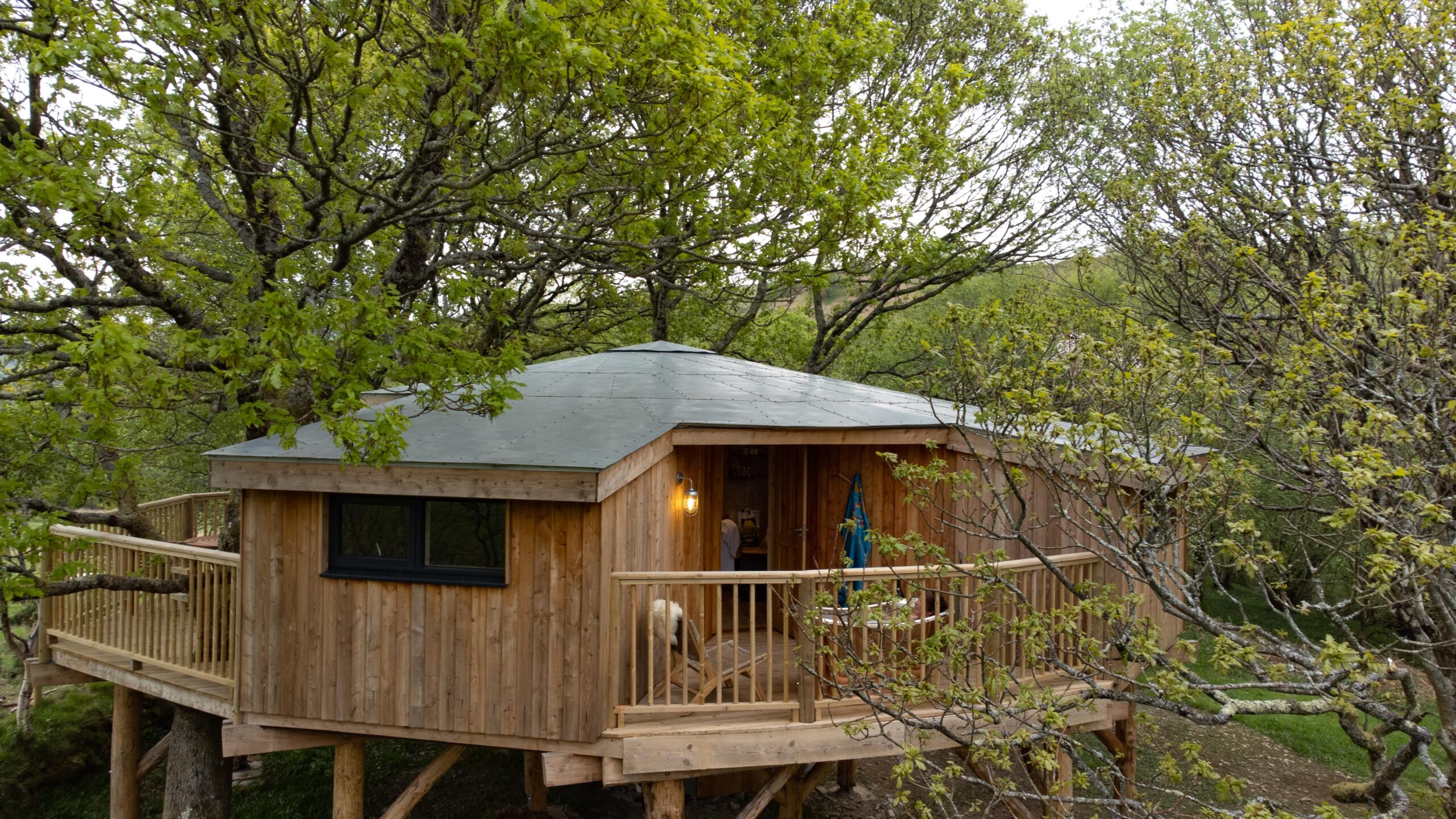 Wild Welsh Treehouses | Luxury treehouses | Treehouses with hot tubs UK